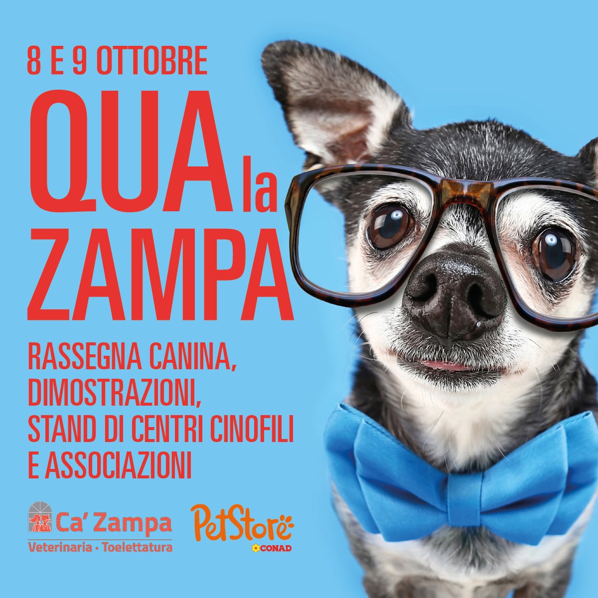 qua la zampa evento centro commerciale porte di mestre thekom